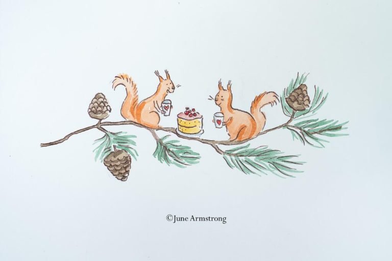 Red Squirrels Lunch Scotland