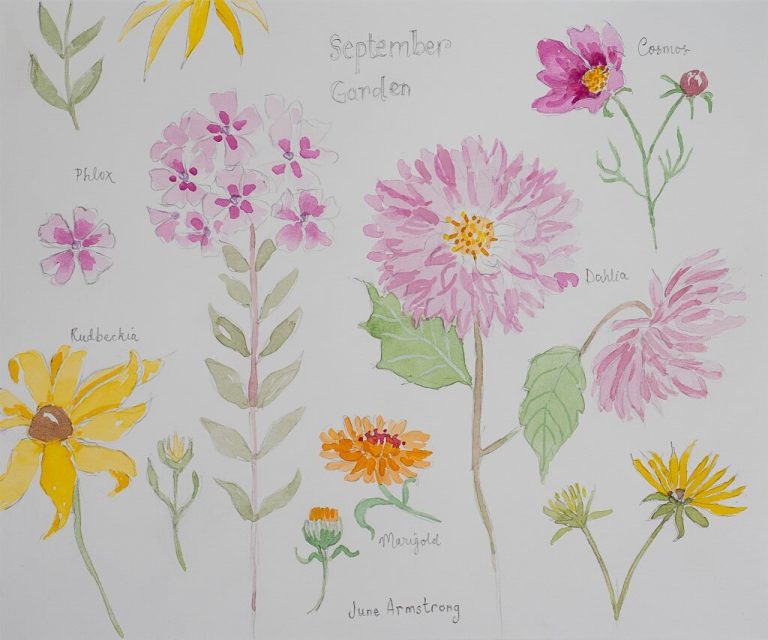 Watercolour Flower Prints